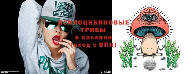 гашик Беломорск