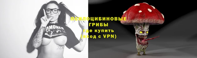 гашик Беломорск