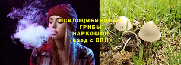 меф Белокуриха