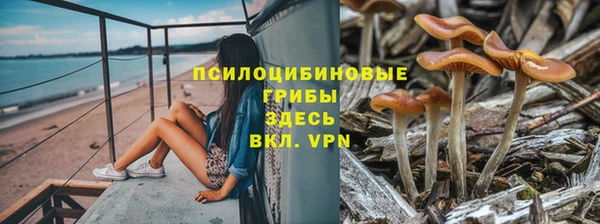 меф Белокуриха