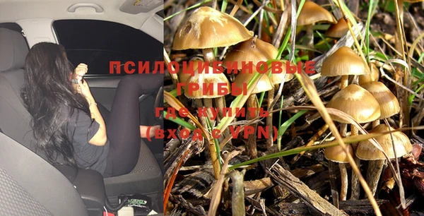 меф Белокуриха