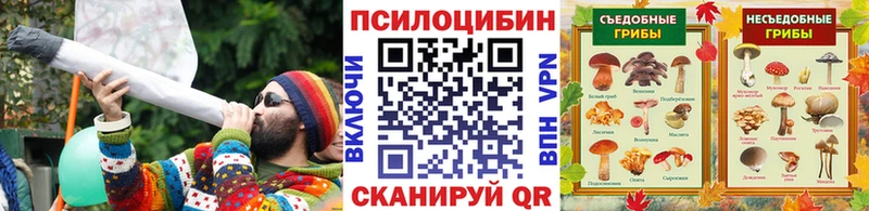 Купить где  Верхний Уфалей  Галлюциногенные грибы Psilocybine cubensis 
